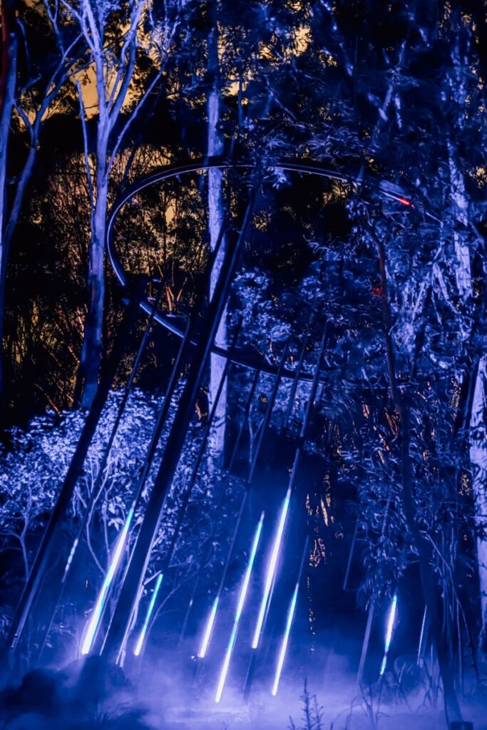 Astra Lumina Gold Coast Experience