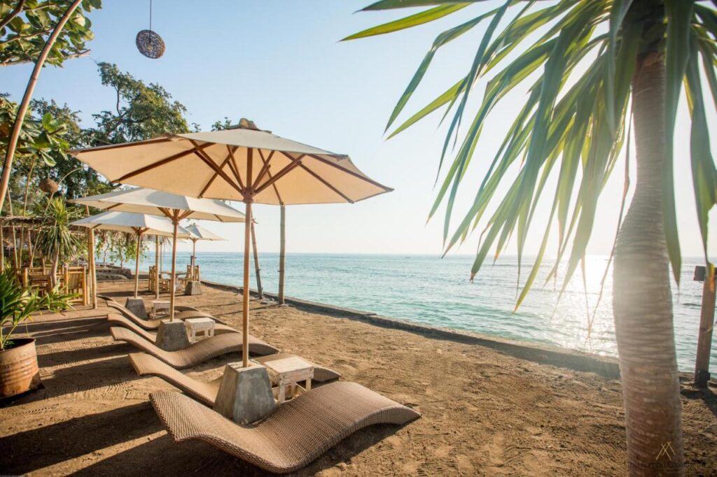 beach loungers and umbrellas facing the beach