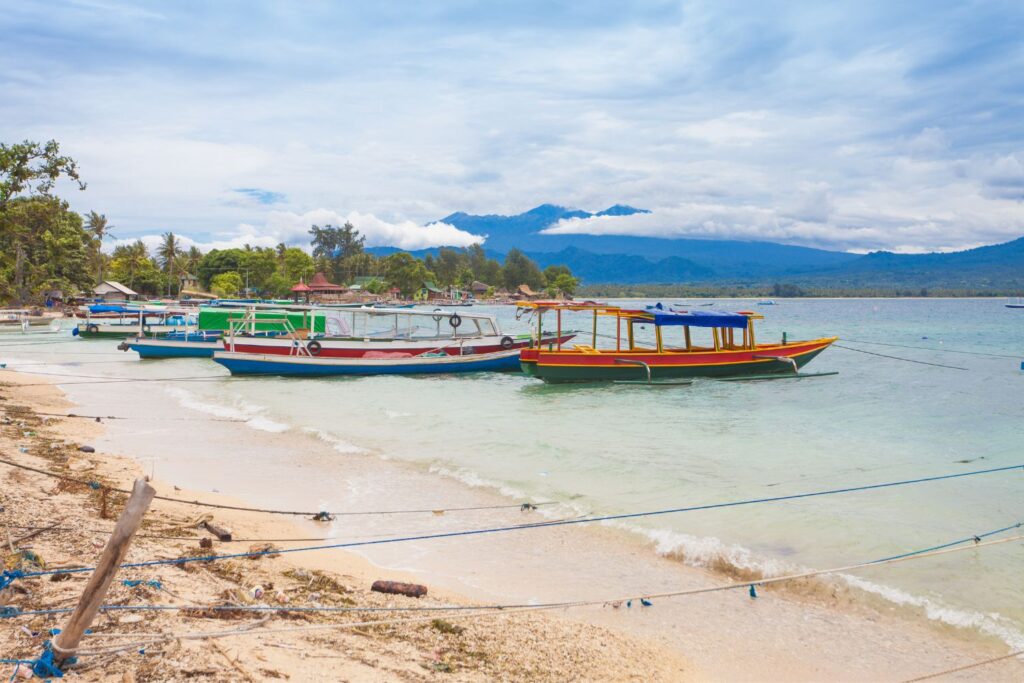 boats near the harbor area ready for a tour