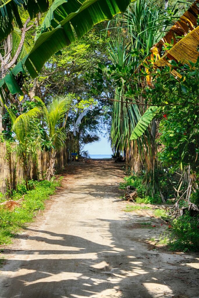 a small road or pathway leading to the beach