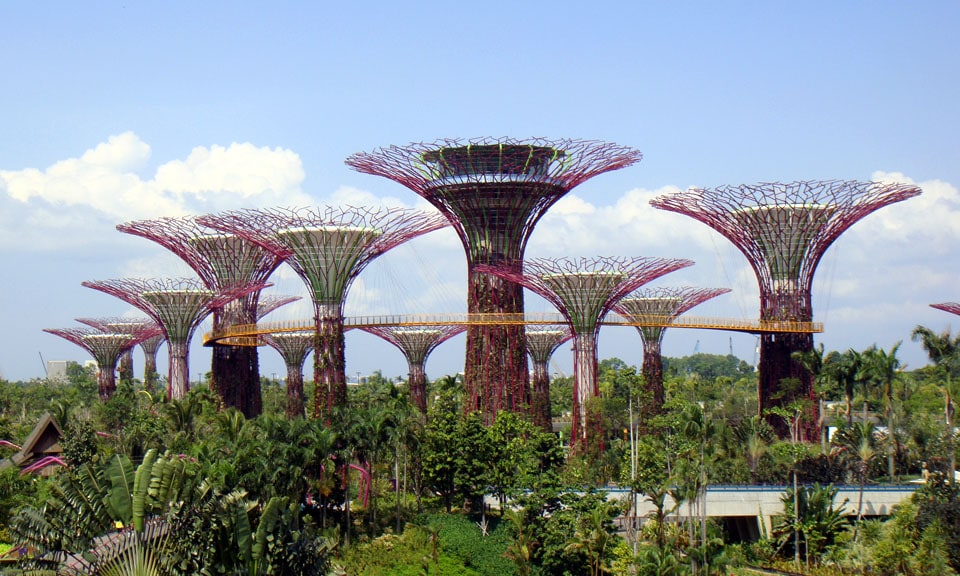 Gardens-by-the-bay