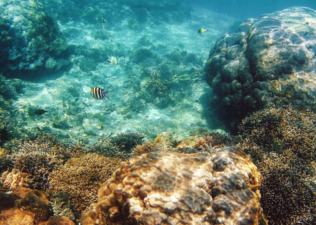 The Gili Islands are located in the Bali Sea, part of the larger Indian Ocean