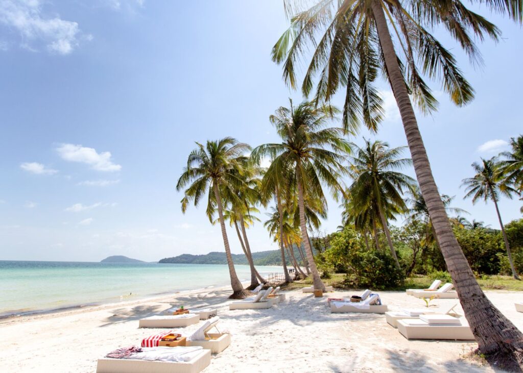 Palm trees and loungers at Bai Sao Beach