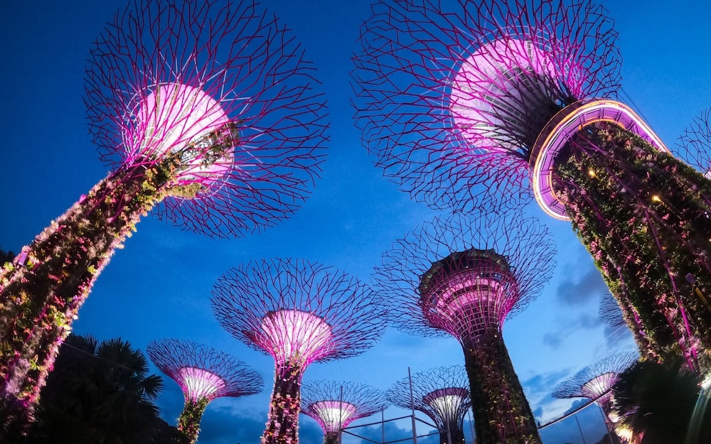 Gardens by the Bay Supertrees at night