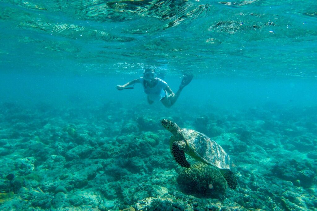 man snorkeling with turtle in turquoise waters
