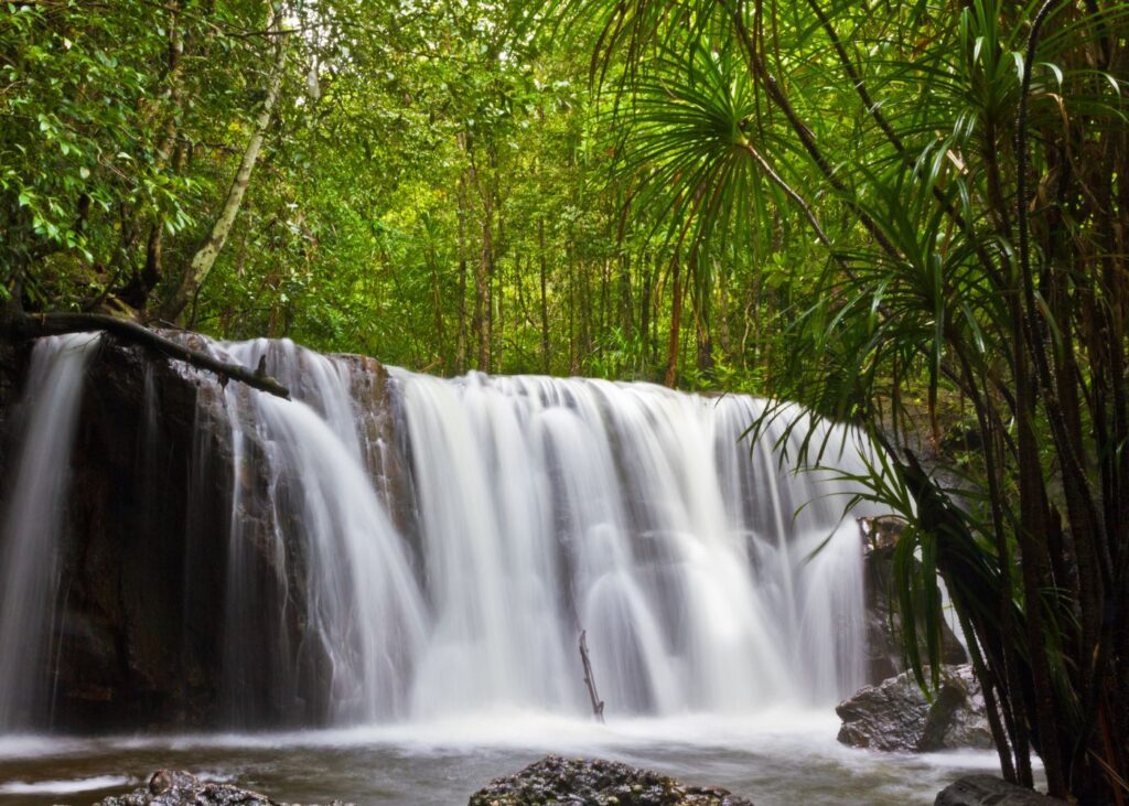 Suoi Tranh Waterfall in Phu Quoc surrounded by jungle