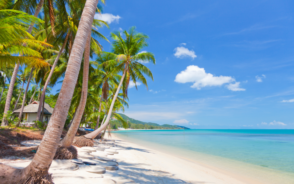 Koh Samui where to stay
